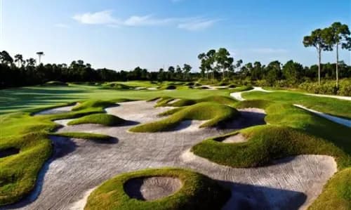 PGA Golf Club (Dye Course)