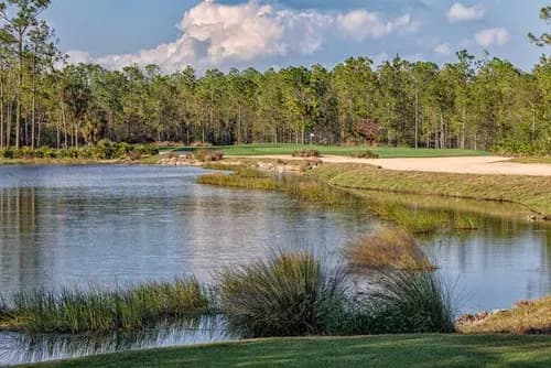 Tiburón Golf Club (Black Course)