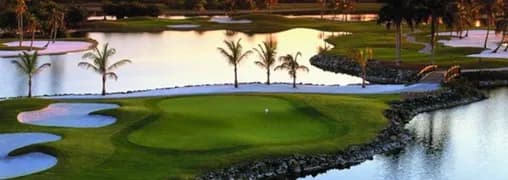 Lely Resort Golf & Country Club (Flamingo Island Course)