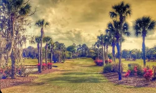 Palm Valley Golf Club