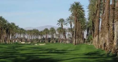 The Palms Golf Club
