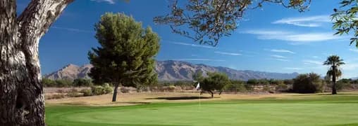 Silverbell Golf Course