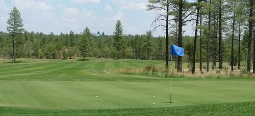 Bison Golf Club
