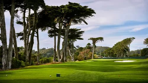 TPC Harding Park