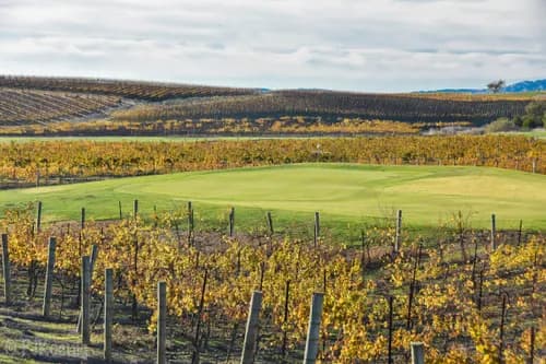 Chardonnay Golf Club