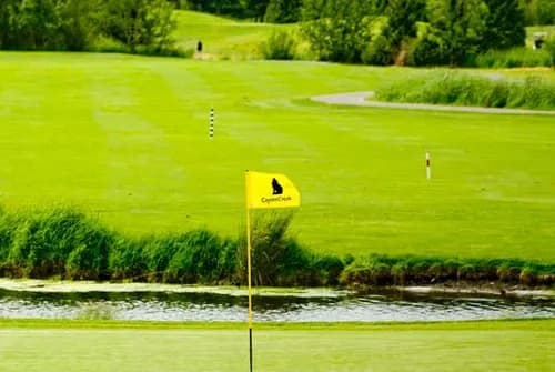 Willows Run Golf Club - Coyote Creek Course