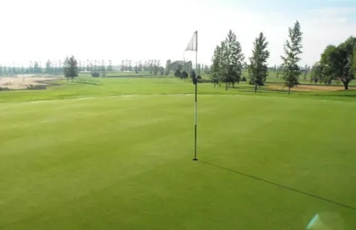 93 Golf Ranch