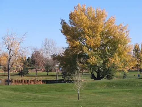 The Olde Course at Loveland