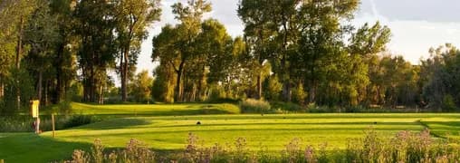 Cattails Golf Club